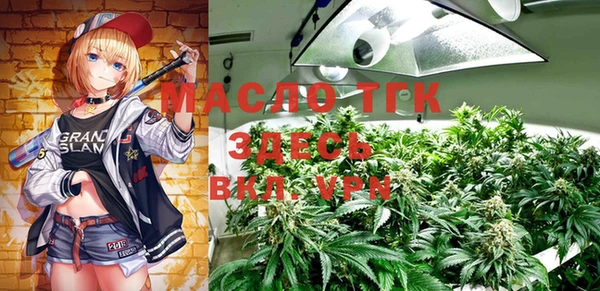индика Лиски