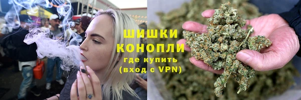 индика Лиски