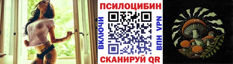 Галлюциногенные грибы Cubensis  Сусуман 